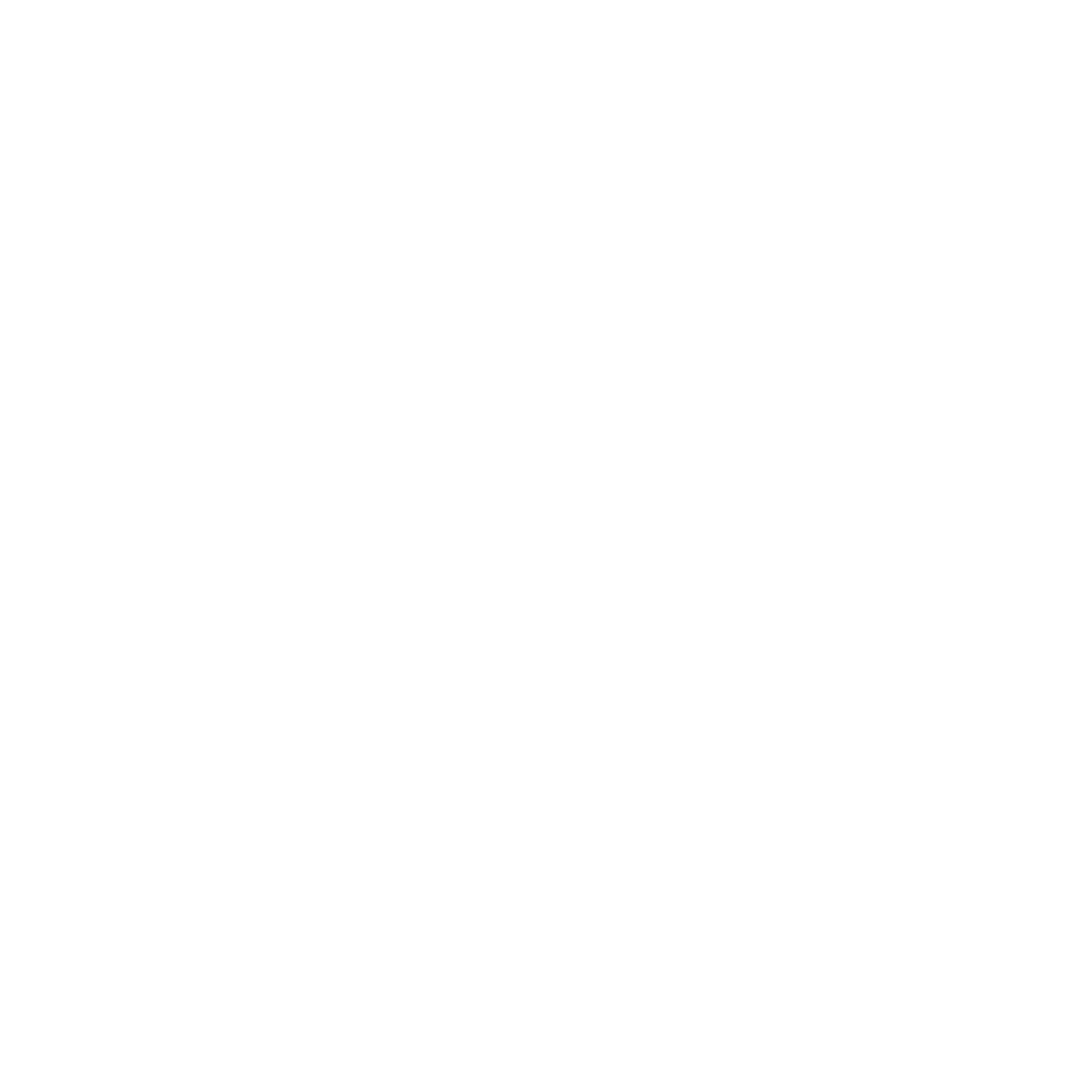 feature-item-2