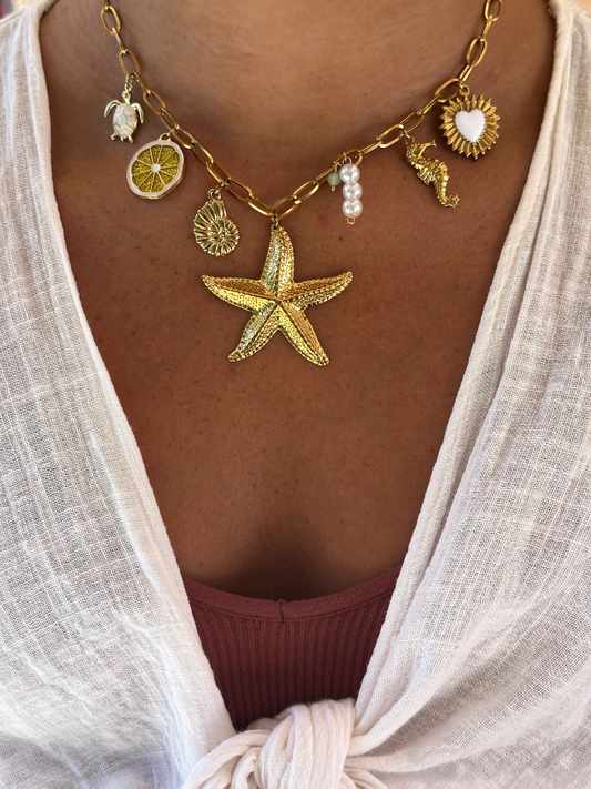 Stella di mare